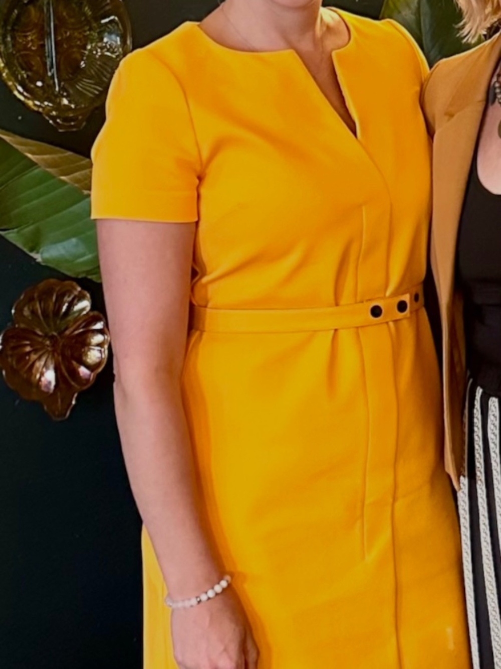 Victora Beckham Dress